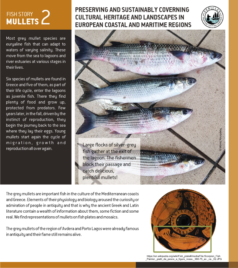 Fish Stories from NE Aegean in Greece PERICLES