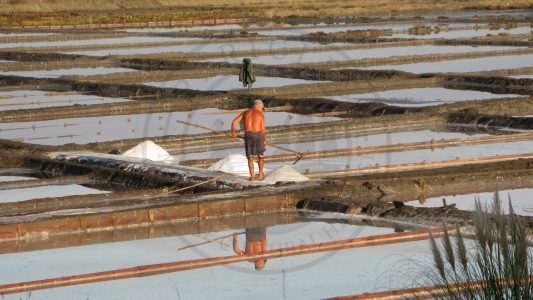 Artisanal salt production in Cale do Oiro saltpans (Aveiro municipality, Ria de Aveiro region)
