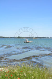 B1 - Oyster parks and plate (boat) - Locmariaquer (Gulf of Morbihan, Brittany) - Sybill HENRY