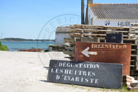 B1 - Oyster tasting - Locmariaquer (Gulf of Morbihan, Brittany) - Sybill HENRY