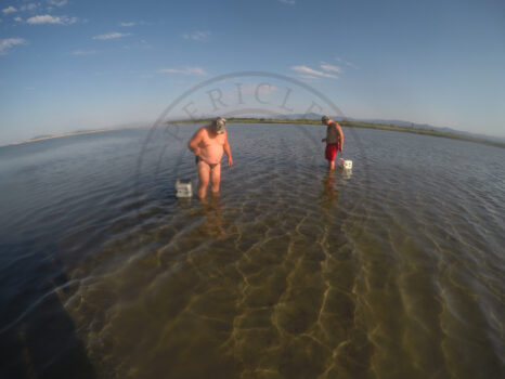 DCIM100GOPROGOPR0181.JPG
