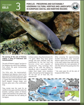 Eels