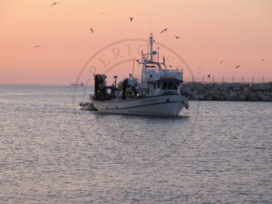 Kavala_fishing boat brings the catch to the fish auction house