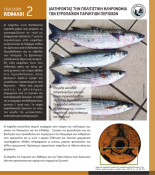 fish2