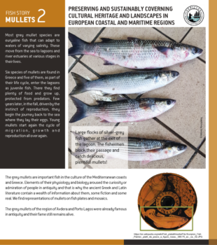 fish4